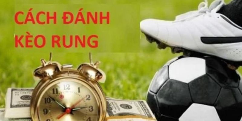 Tuyệt chiêu bắt kèo rung hiệu quả nhất